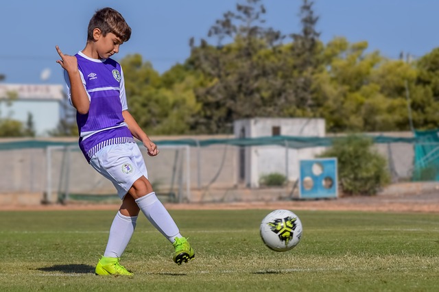 并不只是理 并不只是理