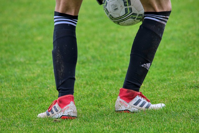 来数年奠定 来数年奠定