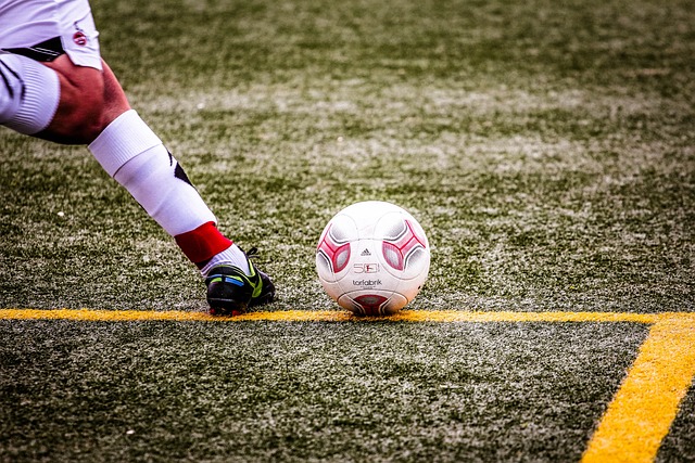 聚焦人道主 聚焦人道主