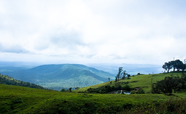 球员健康管 球员健康管