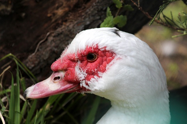 取决于双方 取决于双方