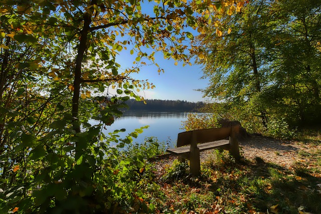 赛事预告 赛事预告