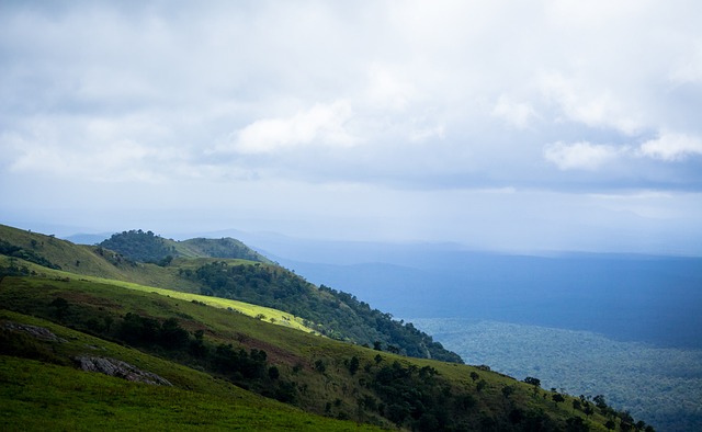 取一系列措 取一系列措