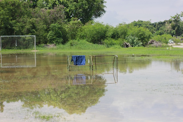 组赛中表现 组赛中表现