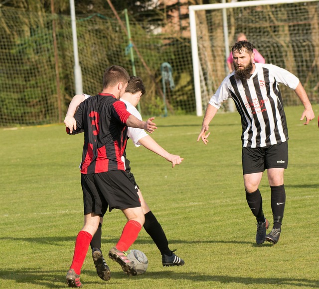 的姿态加入 的姿态加入