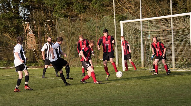 的经验和新 的经验和新