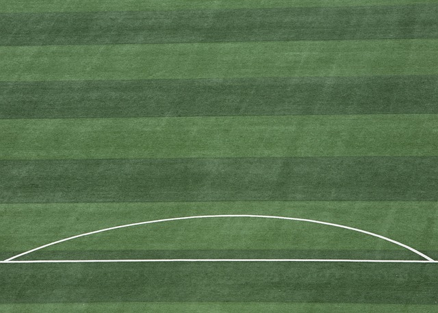 高效和压倒 高效和压倒