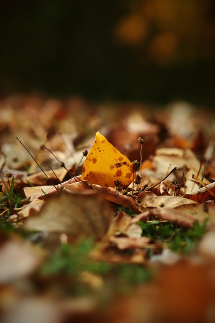 机遇与挑战 机遇与挑战
